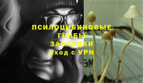 бошки Аркадак
