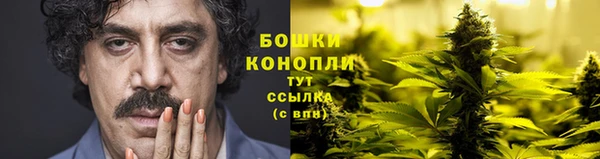 бошки Аркадак
