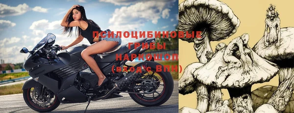ешки Арсеньев