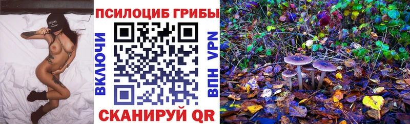 блэк спрут как зайти Темрюк Псилоцибиновые грибы Cubensis